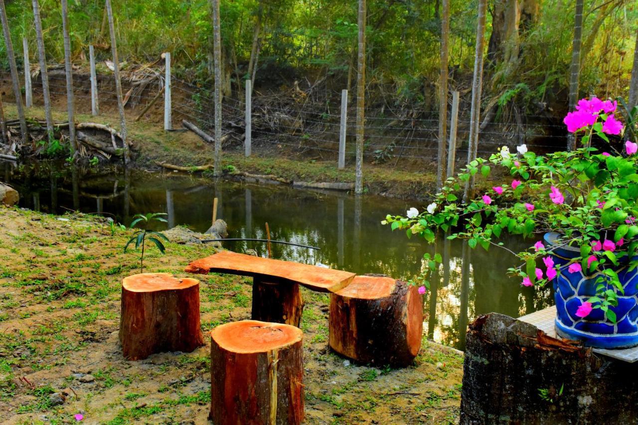 Wild Lake Side Udawalawe Buitenkant foto
